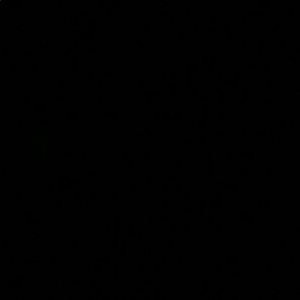 Meet your Posher, Phoenix